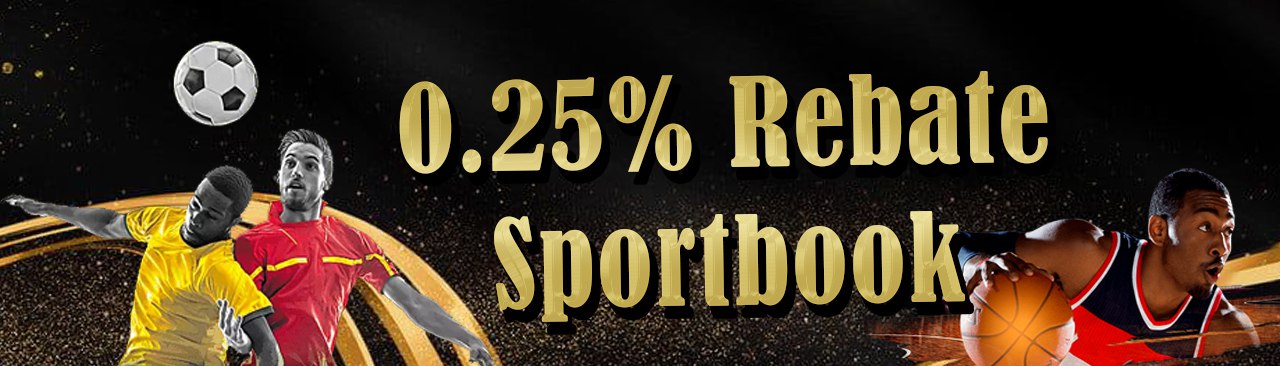 JDL688 — Rebate Offer